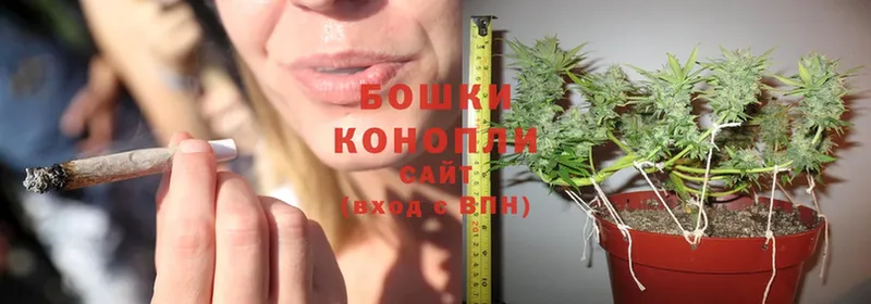 как найти наркотики  Барыш  Бошки марихуана Ganja 